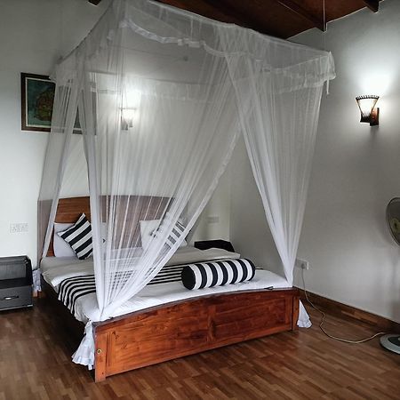 Divine View Homestay Элла Экстерьер фото